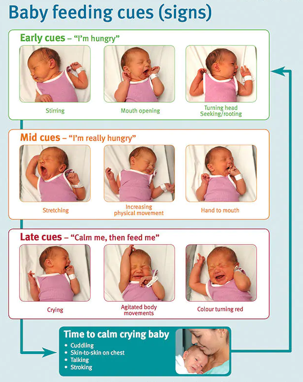 baby’s hunger signs 